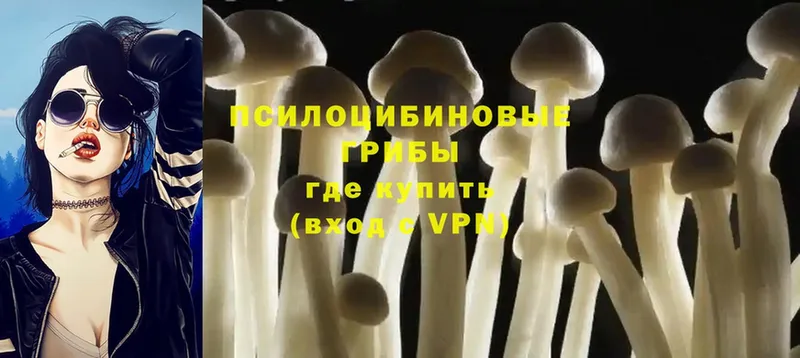 Псилоцибиновые грибы Magic Shrooms  хочу   Никольское 